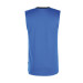 FZ Forza Greg mens tank top (Blue)