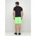 Шорты FZ FORZA Landers Shorts Green Gecko
