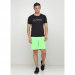 Шорты FZ FORZA Landers Shorts Green Gecko