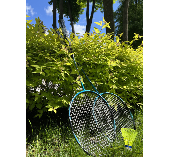 Набор для бадминтона FZ Forza Premium ✅