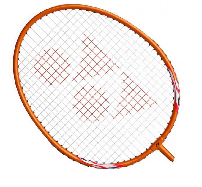 Набір для бадмінтону Yonex Family Fun ✅