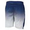 Спортивные шорты FZ FORZA Brad Shorts Estate Blue ✅