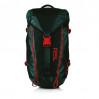 Спортивный рюкзак RSL Explorer 2.5 Backpack Green