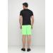 Шорты FZ FORZA Landers Shorts Green Gecko