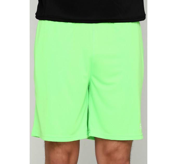 Шорты FZ FORZA Landers Shorts Green Gecko