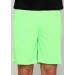 Шорты FZ FORZA Landers Shorts Green Gecko