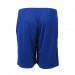 Шорты FZ FORZA Landers Shorts Olympian Blue