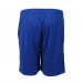 Шорты FZ FORZA Landers Shorts Olympian Blue