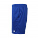 Шорты FZ FORZA Landers Shorts Olympian Blue
