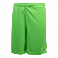Шорты FZ FORZA Landers Shorts Green Gecko