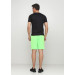 Шорты FZ FORZA Landers Shorts Green Gecko
