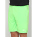 Шорты FZ FORZA Landers Shorts Green Gecko